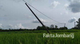 Kondisi tiang listrik miring yang belum dibenahi di Desa Darurejo, Kecamatan Palndaan, Kabupaten Jombang, meski dua tahun lebih sudah dilaporkan warga.