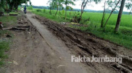 Kondisi jalan poros di Desa Mangunan, Kecamatan Kabuh, Kabupaten Jombang, yang berlumpur setiap kali usai diguyur hujan.