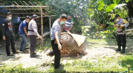 Polisi membakar kurungan ayam dan tikar di sekitar arena perjudian sabung ayam Dusun Dolok, Desa Sumberjo, Kecamatan Plandaan, Kabupaten Jombang, Selasa (23/3/2021).