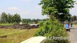 Altivitas pengurukan lahan sawah di Desa Jarak Kulon, Kecamatan Jogoroto, Kabupaten Jombang. Tampak satu bulldozer sedang beraktiviyas meratakan tanah uruk.