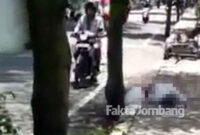 Korban sebelum dievakuasi petugas dari TKP, yakni Jalan Bupati R Soedirman, Jombang.
