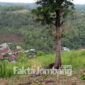 Dusun Kopen, Desa Ngrimbi, Kecamatan Bareng, Kabupaten Jombang.