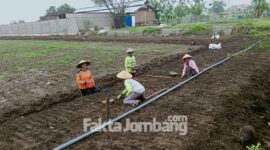 Alat penyiraman lahan yang ditanami bawang merah atau berambang, hasil temuan H Jumain, petani Desa Segodorejo, Kecamatan Sumobito, Kabupaten Jombang.