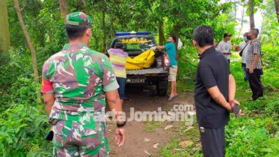Diduga Terpeleset, Nenek Pikun di Jombang Ditemukan Meninggal Membusuk di Tengah Sawah