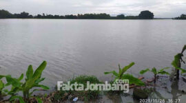 Puluhan hektare sawah di Dusun Rejoagung, Desa Rejoagung, Kecamatan Ploso, Kabupaten Jombang, Jawa Timur, terendam air, Jumat (26/11/2021).