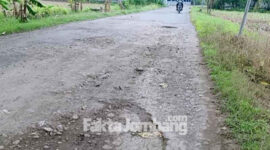 Kondisi jalan rusak di Dusun Borocilik, Desa Gedangan, Kecamatan Sumobito, Kabupaten Jombang.