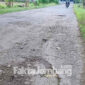 Kondisi jalan rusak di Dusun Borocilik, Desa Gedangan, Kecamatan Sumobito, Kabupaten Jombang.
