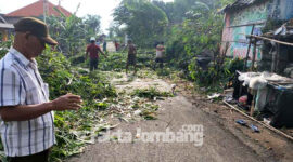 Warga sedang gotong-royong membersihkan puing-puing yang terdampak bencana hujan disertai angin kencang di Desa Budugsidorejo, Kecamatan Sumobito, Kabupaten Jombang.