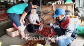 Salah satu pedagang cabai di Pasar Sumobito, Jombang.