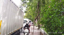 Kondisi dahan pohon yang patah dan menggelantung nyaris menyentuh tanah di pinggir Jalan Raya Abdul Rahman Saleh, Dusun Sambongsantren, Desa Sambongdukuh, Kecamatan/ Kabupaten Jombang.