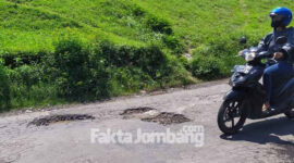 Kondisi jalan raya antara Desa Karangmojo dengan Desa Jatimlerek, Kecamatan Plandaan, Jombang, yang banyak berlubang, Kamis (9/12/2021).