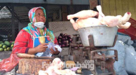 Salah satu pedagang ayam di Pasar Legi Jombang.