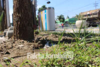 Salah satu spot yang terpantau belum tertanami rumput gajah mini. Pekerjaan ini adalah bagian dari proyek rehabilitasi drainase jalan KH Wahid Hasyim, Jombang