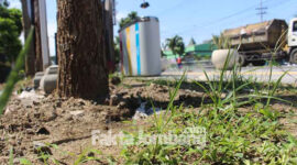 Salah satu spot yang terpantau belum tertanami rumput gajah mini. Pekerjaan ini adalah bagian dari proyek rehabilitasi drainase jalan KH Wahid Hasyim, Jombang