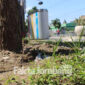 Salah satu spot yang terpantau belum tertanami rumput gajah mini. Pekerjaan ini adalah bagian dari proyek rehabilitasi drainase jalan KH Wahid Hasyim, Jombang