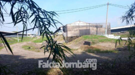 Lokasi kandang ayam PT SUR 3, Desa Balongsari, Kecamatan Megaluh, Kabupaten Jombang.