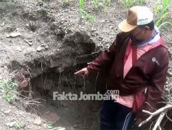 Struktur Bata dan Benda Kuno Ditemukan di Sumbernongko Jombang