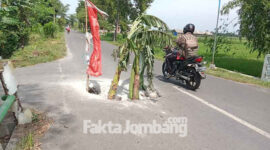 Jalan di Desa Watugaluh, Kecamatan Diwek, Jombang, yang menjadi akses menuju makam Gus Dur, ditanami pohon pisang dan umbul-umbul.