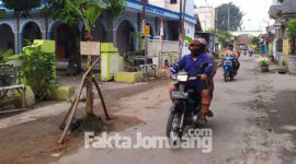 Jalan Tambakberas gang 1 yang rusak di sejumlah titik, warga menanaminya dengan pohon pisang, ditambah sindiran.