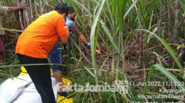etugas mengevakuasi mayat Mrs X di kebun tebu Dusun Tebon Desa Kayangan Kecamatan Diwek, Jombang, Selasa (11/1/2022).