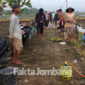 Warga Sumbersari, Kecamatan Megaluh, Kabupate Jombang, mempersiapkan alat gropyokan tikus, setelah kenduri dan doa bersama.