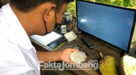 Salah satu anggota Polisi Air saat meneliti air sungai gogor dan buah durian Wonosalam, Jombang. Hasilnya, ada pencemaran mikroplastik di sungai Gogor. Sedangkan pada buah durian Wonosalam, nihil pencemaran.