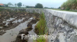 Proyek TPT di Desa Brangkal Kecamatan Bandar Kedungmulyo, Kabupaten Jombang, tanpa papan informasi dan diduga dikerjakan asal jadi.