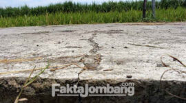 Kondisi retak pada proyek rabat beton yang dikerjakan Pokmas Megah Abadi di Desa Cangkringrandu, Kecamatan Perak, Kabupaten Jombang.