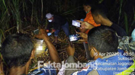 Petugas melakukan identifikasi pada olah TKP di titik temuan mayat pria di lahan tebu Desa Sukosari, Kecamatan Jogoroto, Kabupaten Jombang, Sabtu (16/4/2022) malam.