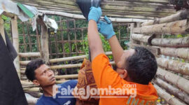 Petugas saat mengevakuasi korban yang gantung diri di bekas kandang belakang rumahnya, Dusun/ Desa Sumberagung, Kecamatan Perak, Kabupaten Jombang, Jawa Timur. 