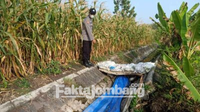 TKP penemuan mayat di Balongsari Megaluh Jombang