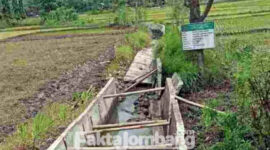 Kondisi plengsengan proyek jaringan irigasi pertanian yang roboh di Desa Plabuhan, Kecamatan Plandaan, Jombang