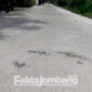 Kondisi jalan rabat beton di Dusun Melik, Desa Bedahlawak, Kecamatan Tembelang, Kabupaten Jombang, terpantau berlubang. (Foto: Dandy)